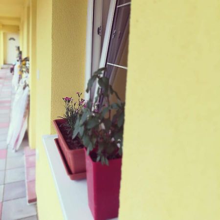 Zlatno 66 Bed & Breakfast Zlaté Moravce Dış mekan fotoğraf